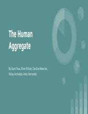 Human Aggregates .